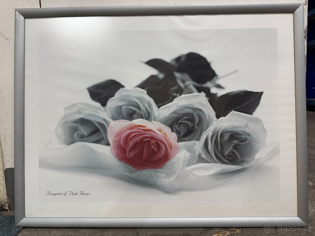 Prodám 3 ks různých obrazů - nové, nevyužité - 2