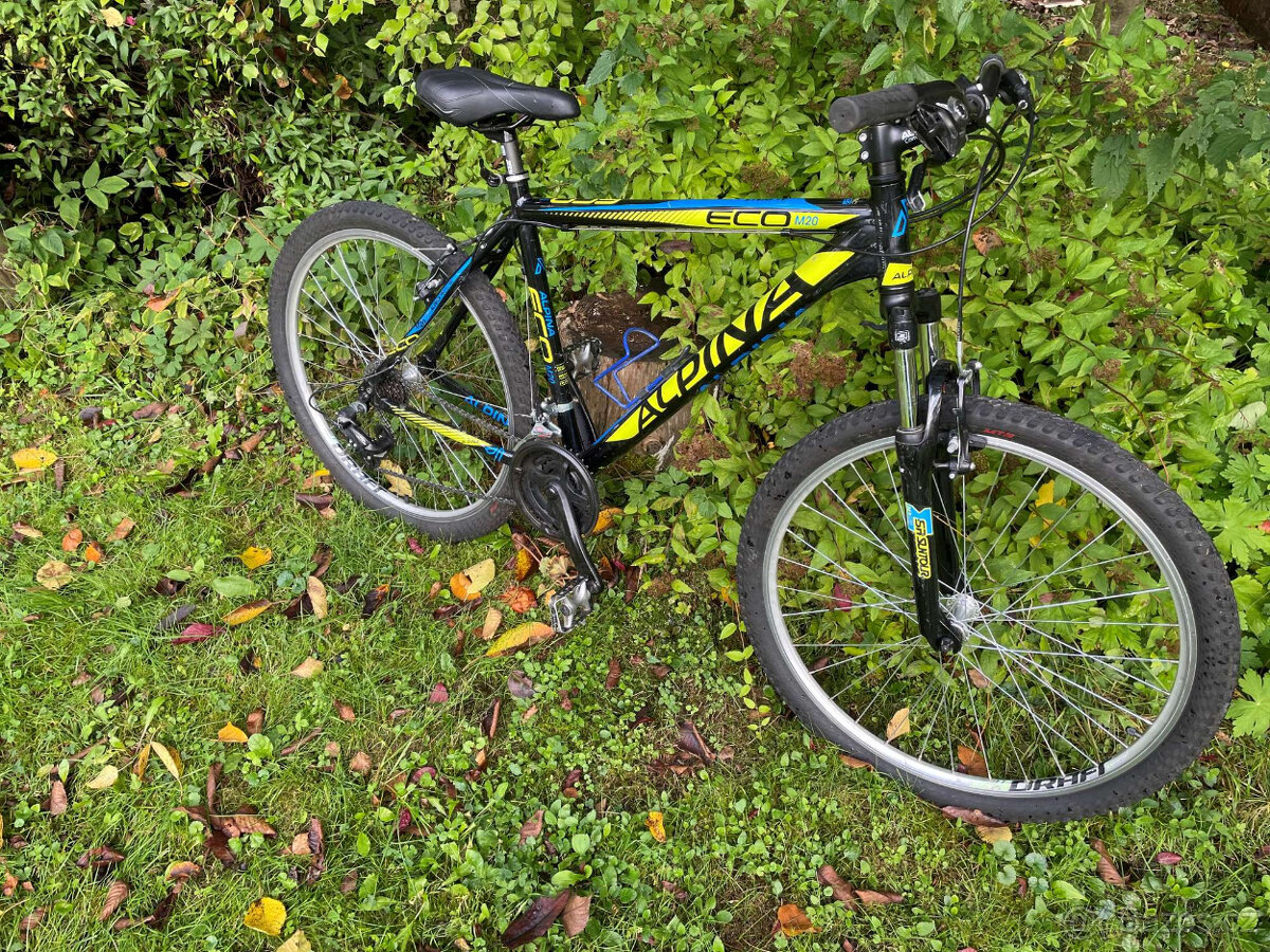Horské kolo Alpina ECO M20 - 2
