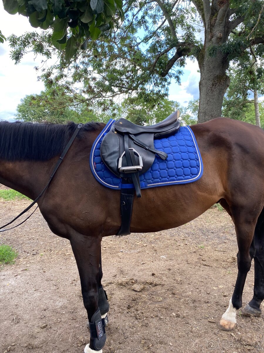 Skokove sedlo prestige appaloosa - 2