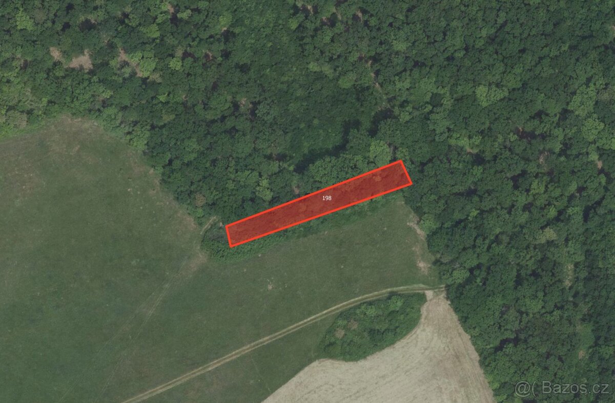 Louka, prodej, Nesvačily, Beroun - 2