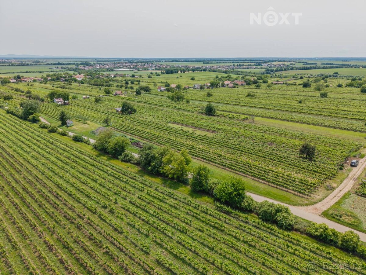 Prodej pozemek Sady/vinice, 2318㎡ - 2
