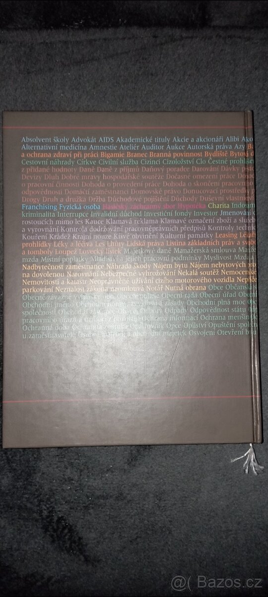 Kniha Velký domácí právník - 2