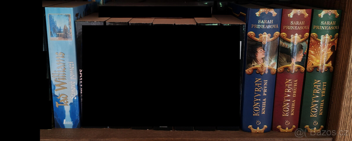 Tad Williams, Sarah Prineasová - 2