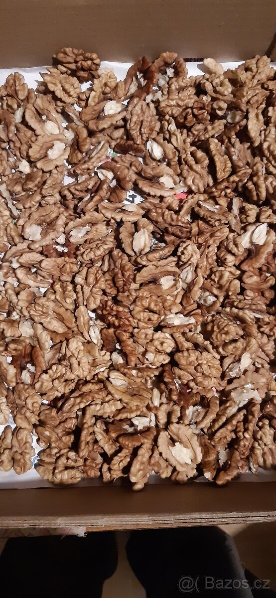 Vlašské ořechy - 2