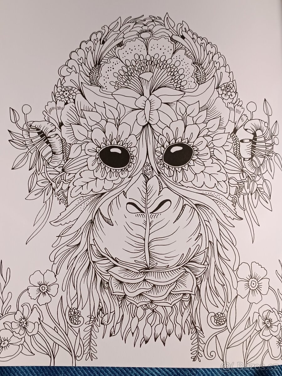 Omalovánky pro dospělé Exotický prales - 2