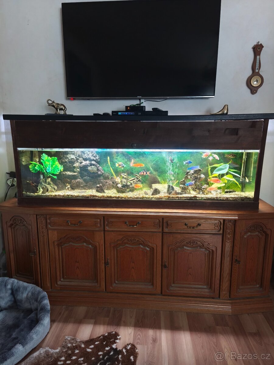 Akvárium velké - 2