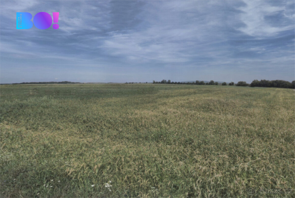 Prodej pole, 9 400 m², Přibice - 2