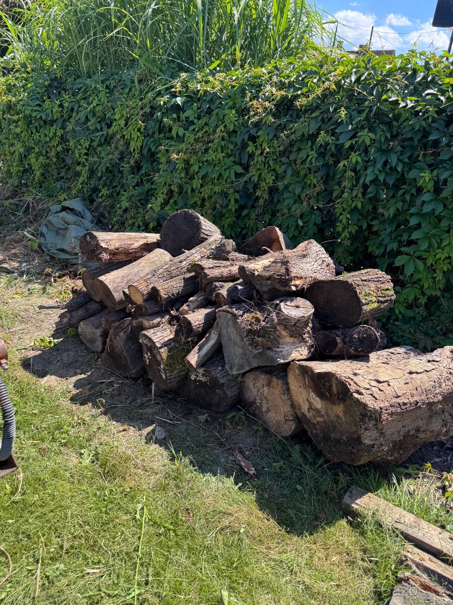 Jasnan lipa smrk palivové dřevo - 2