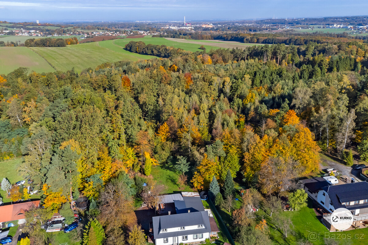 Prodej lesa 29 217m² - 2