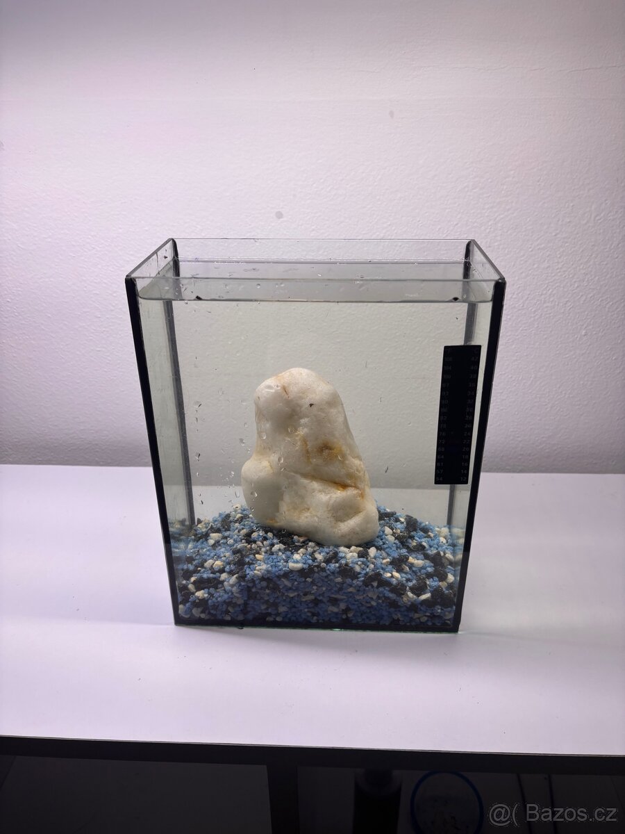 Akvárium - 2