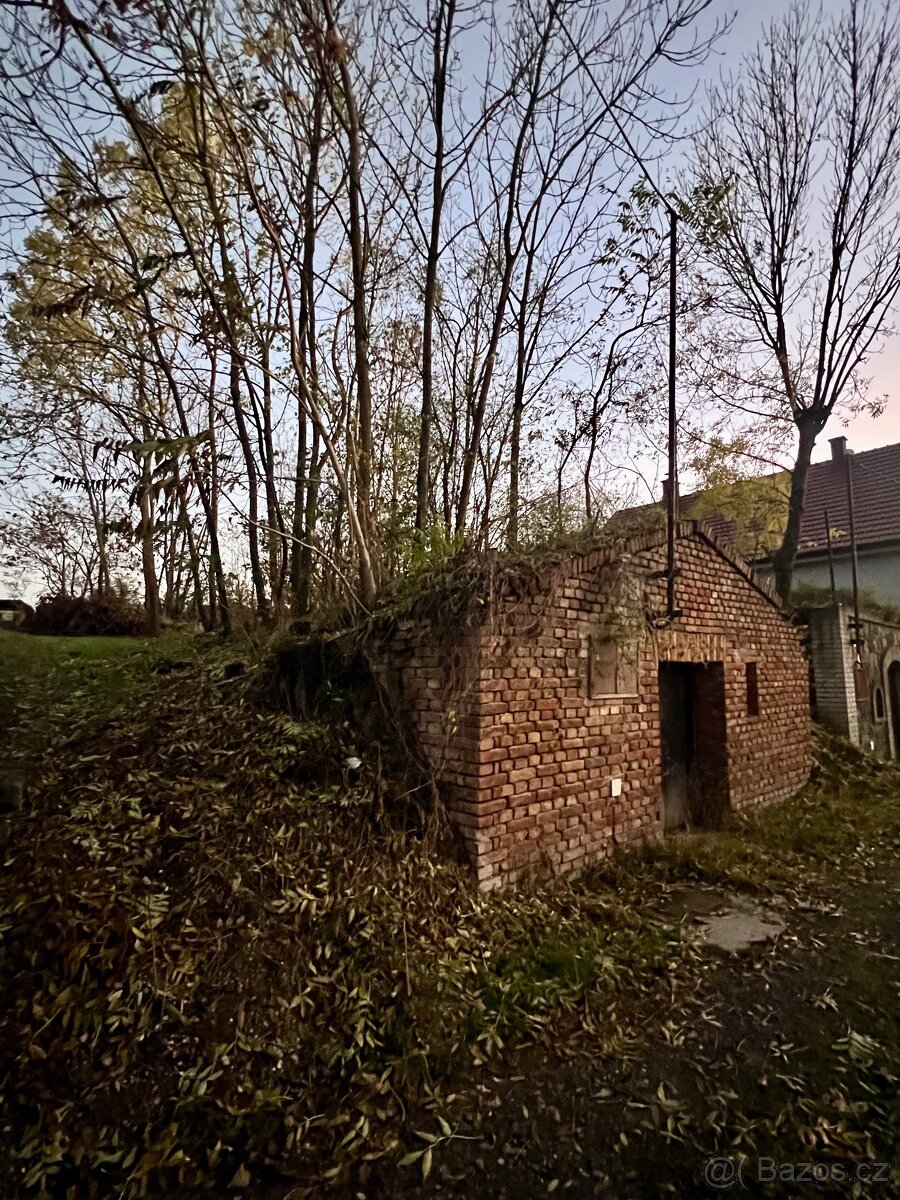 Prodej vinného sklepa - Brod nad Dyjí - 2