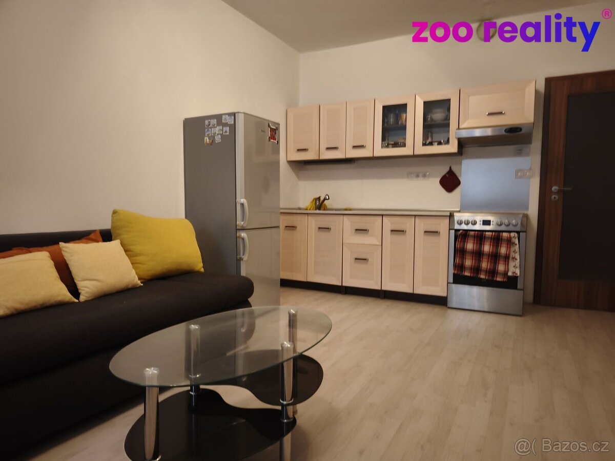 Pronájem, byt 2+kk, České Budějovice - 2