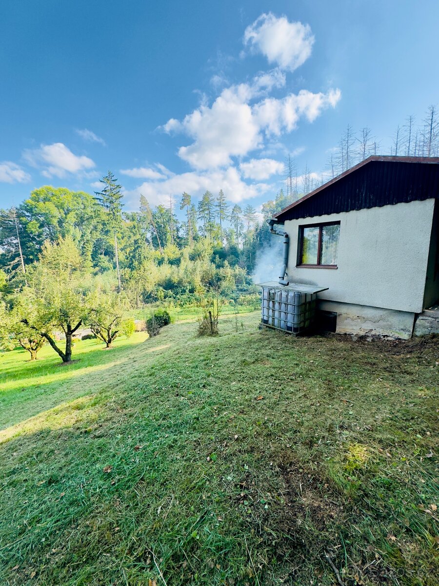 Prodej chaty, Vysoké Mýto - Spálenec, 18 m2 - 2