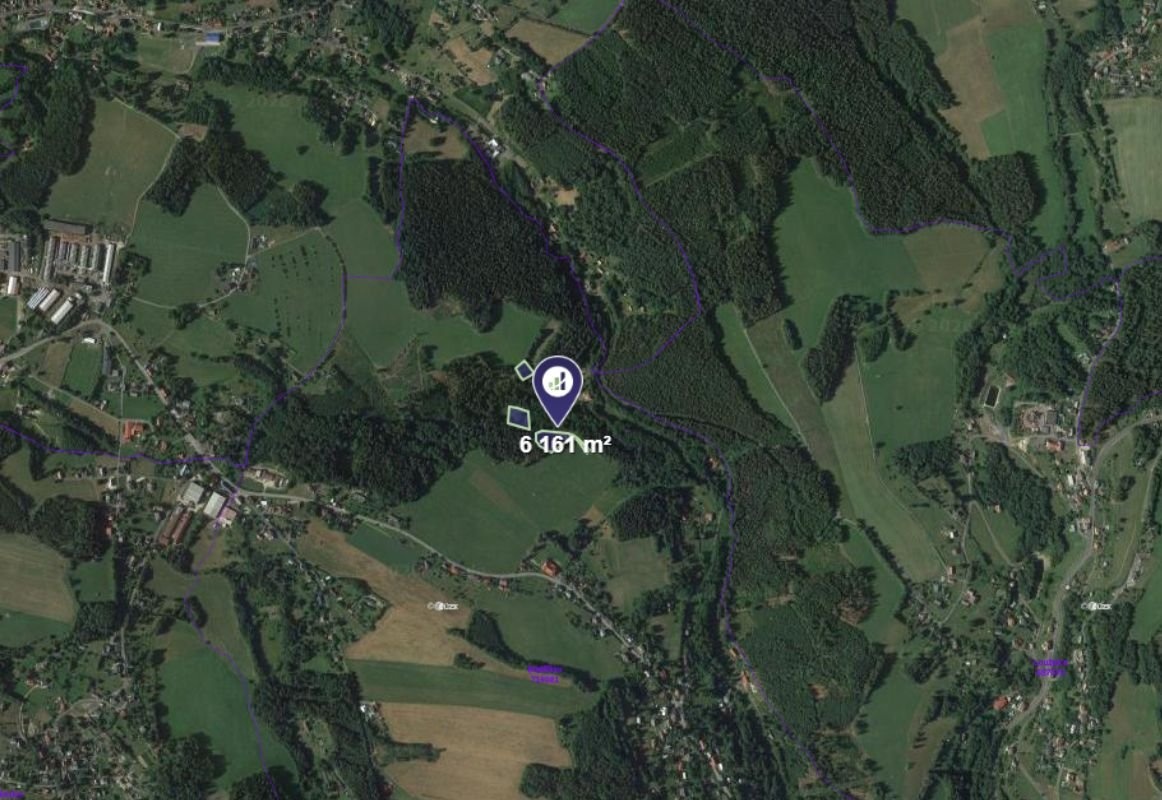 Prodej podílu 1/2 lesa 3 081 m², Pěnčín - 2