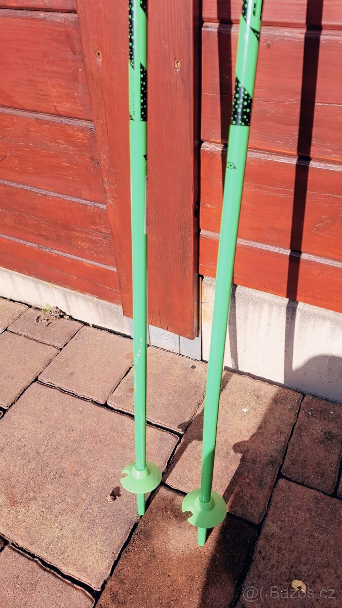 Dětské lyžařské hole Elan 105 cm - 2