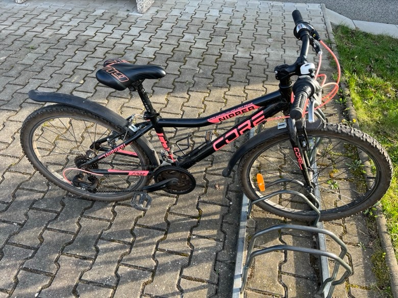 Kolo Nipper core 24" - 2