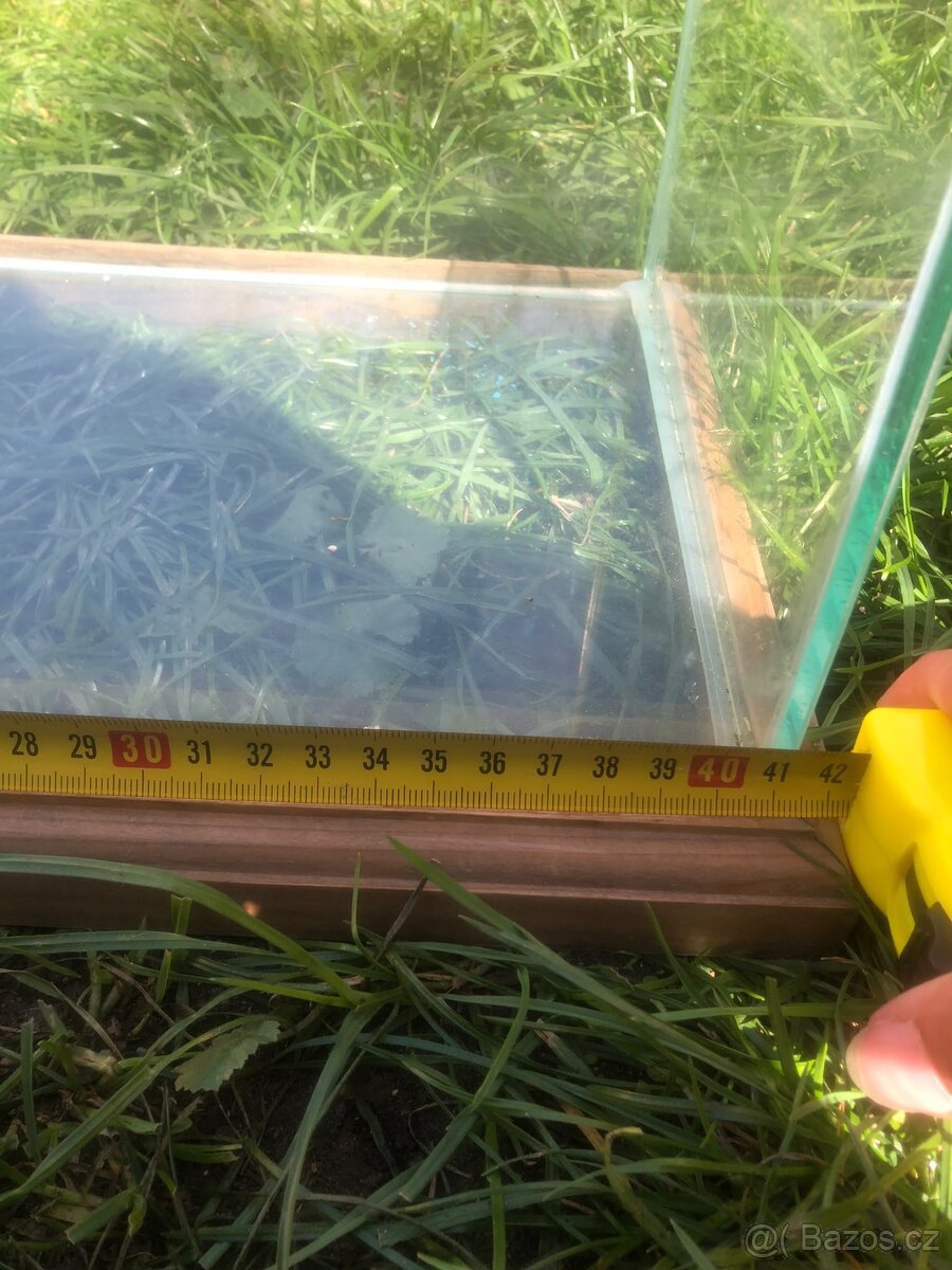 Terarium - 2