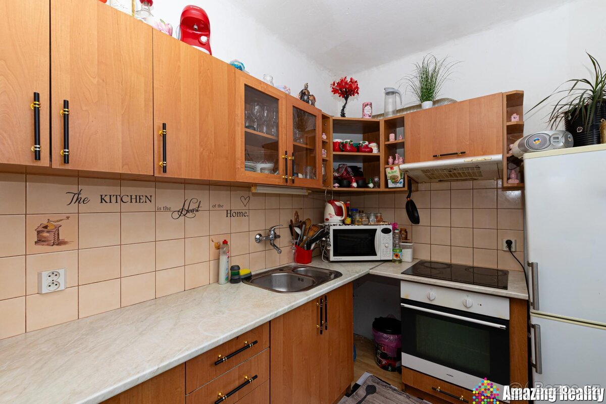 Prodej zděného bytu s plechovou garáží, v obci Mileč - 2