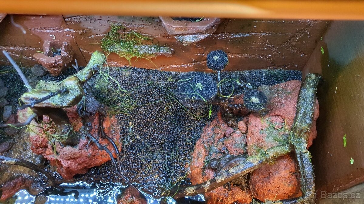 Prodam akvarium Juwel Lido 120 L - 2