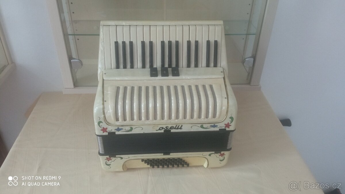 Akordeon, harmonika - 2