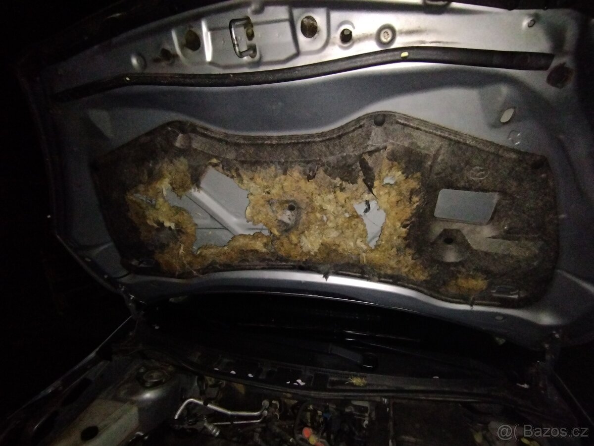 Koupím izolaci motoru - 2