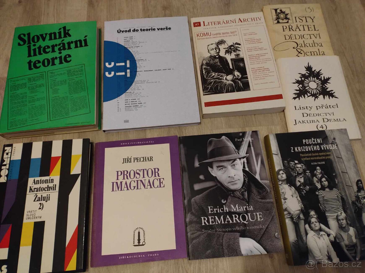 Teorie a dějiny literatury, filmověda - 2