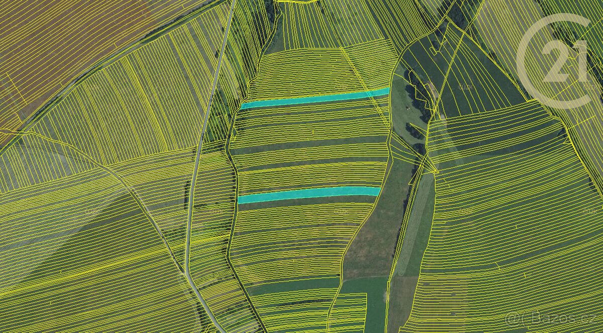 Suchov, zemědělské pozemky, 11 063 m2 - 2