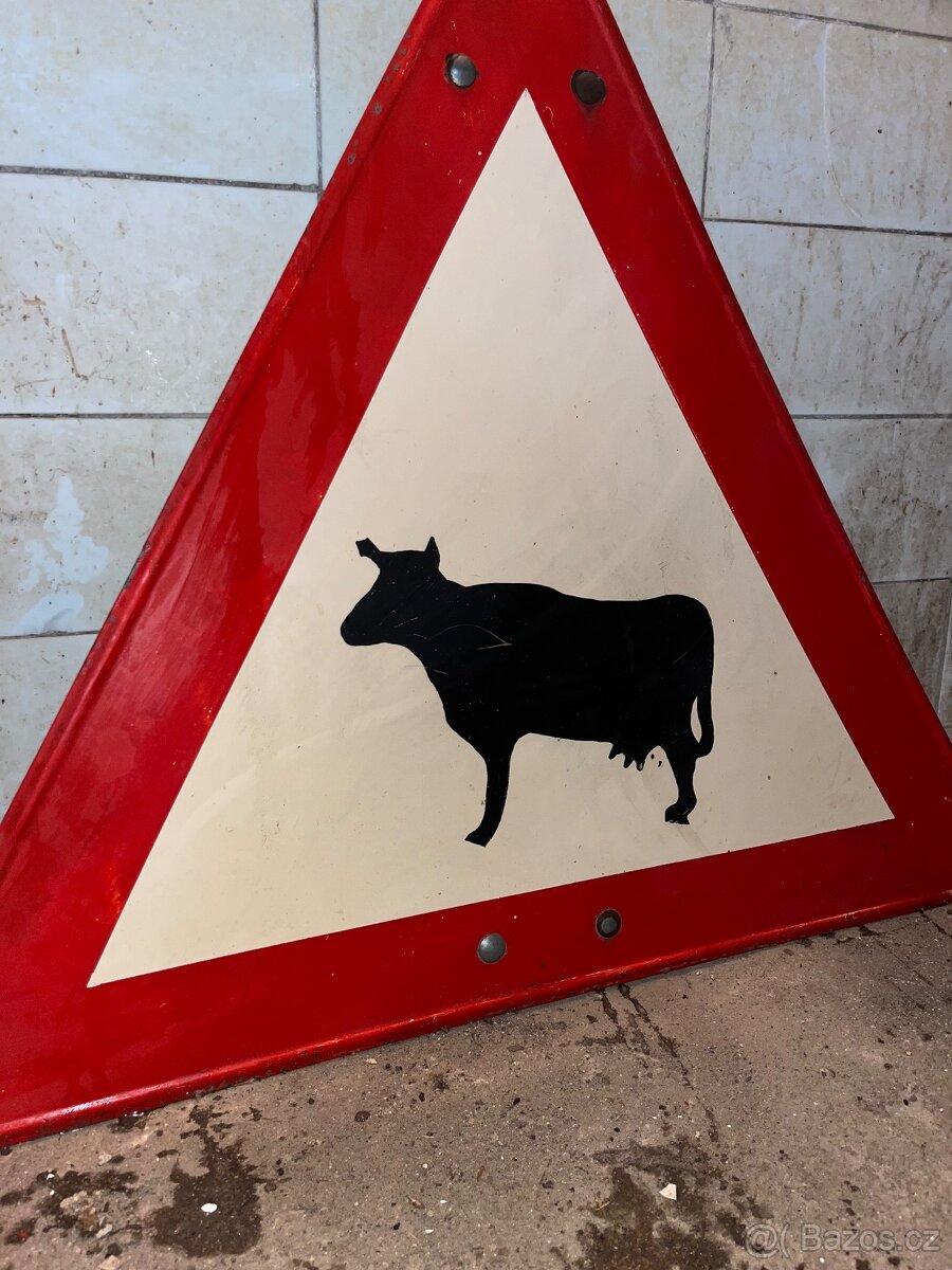Cedule „Pozor, krávy“ - 2