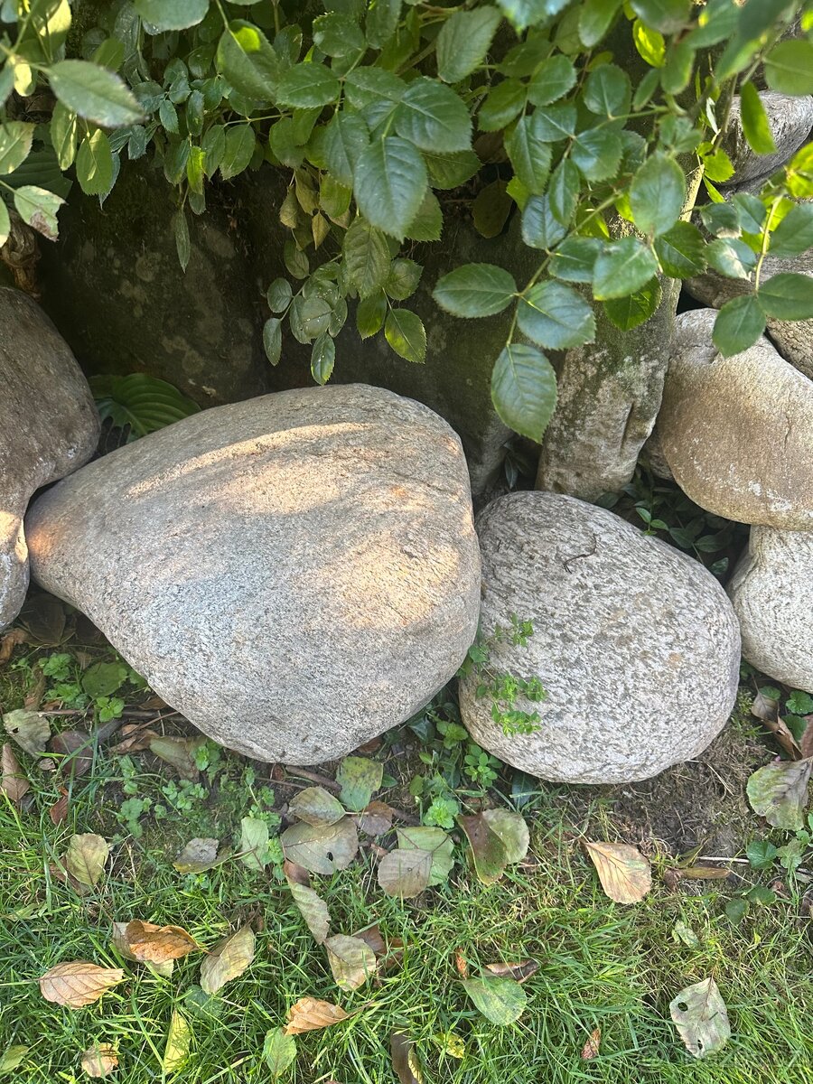 Valouny na skalku a do zahrady - 2