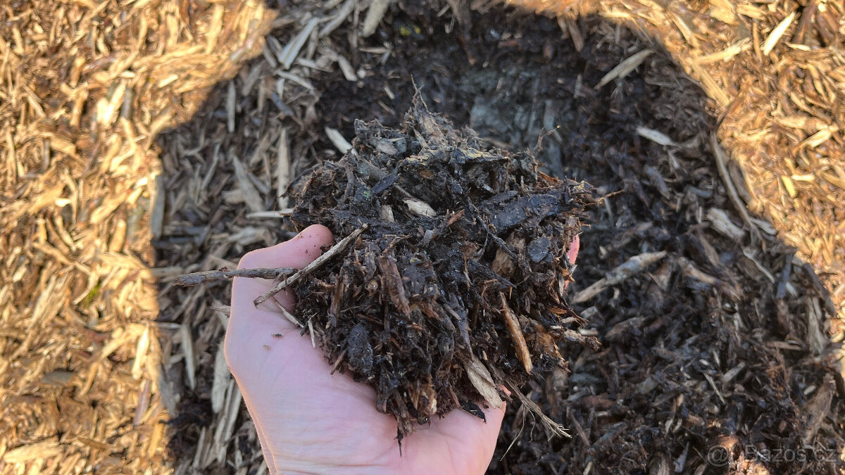 Štěpka ovocné stromy - 2