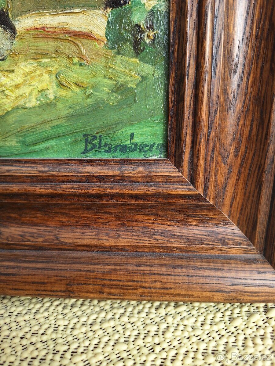 STARÝ OBRAZ - ALPSKÁ KRAJINA - 2