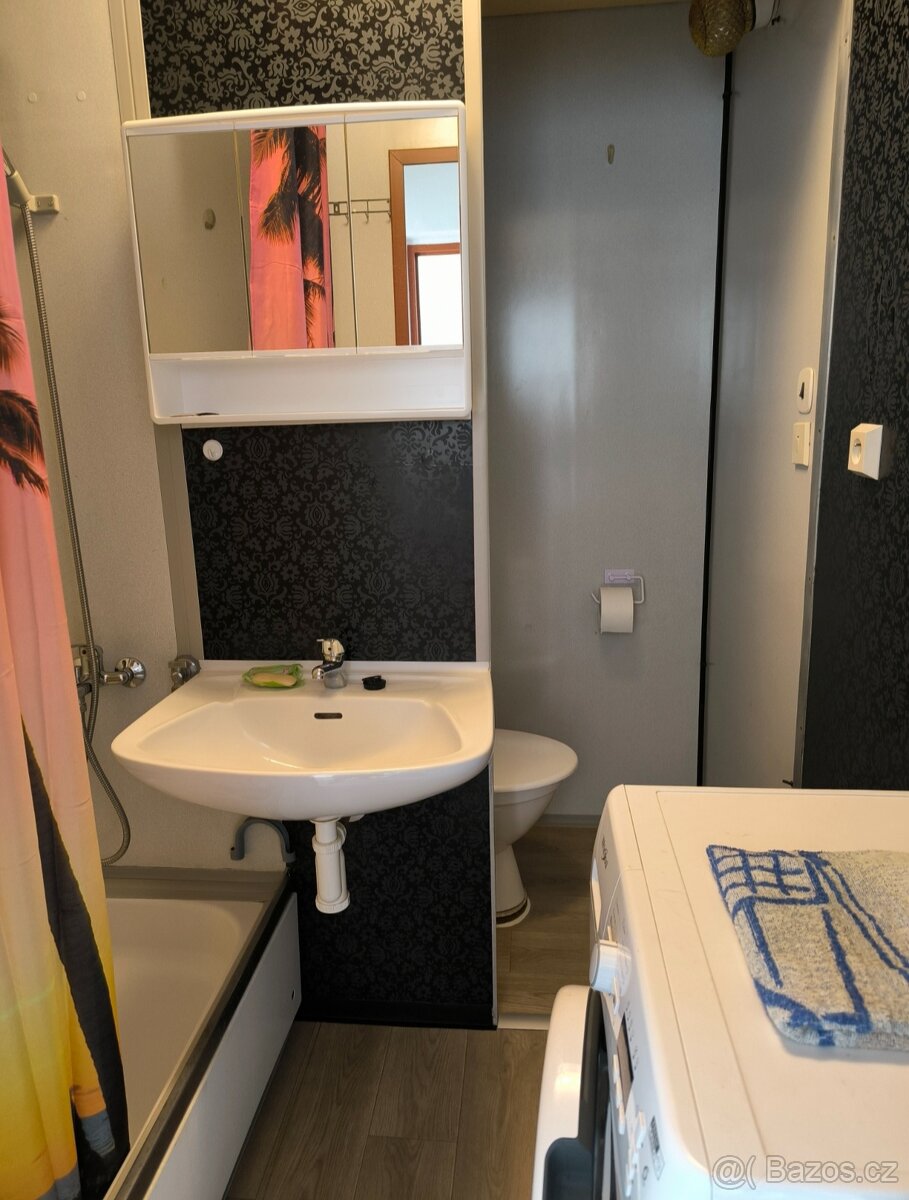 Pronájem bytu 1+1 - 2