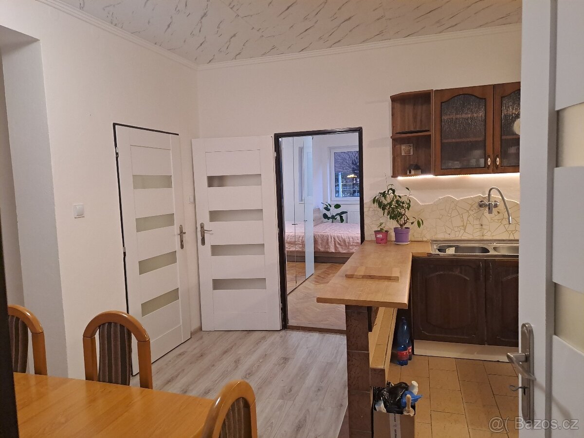 Pronájem byt 2+1 - 2