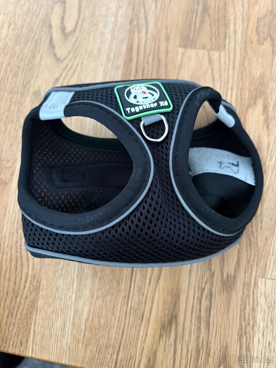 Dva postroje pro štěně - 2