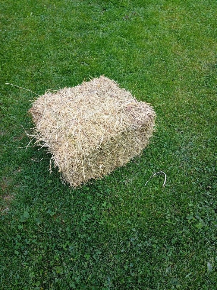 letošní seno malé balíky - 2