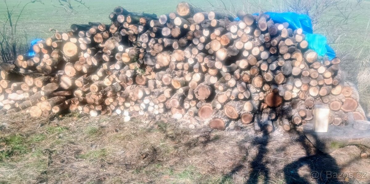 Palivové dřevo - tvrdé, štípané - 2