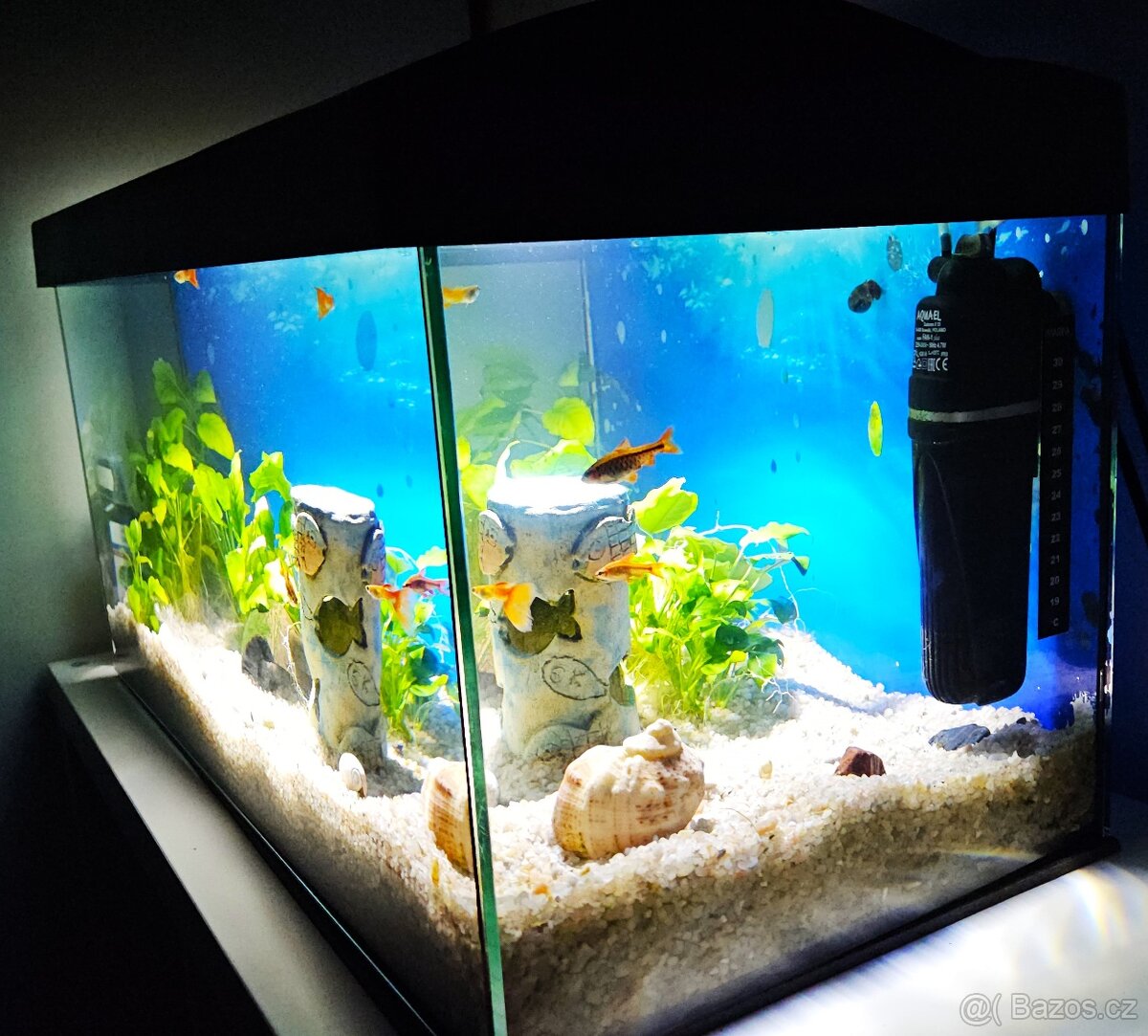 Kompletni akvarium 54 litru - 2