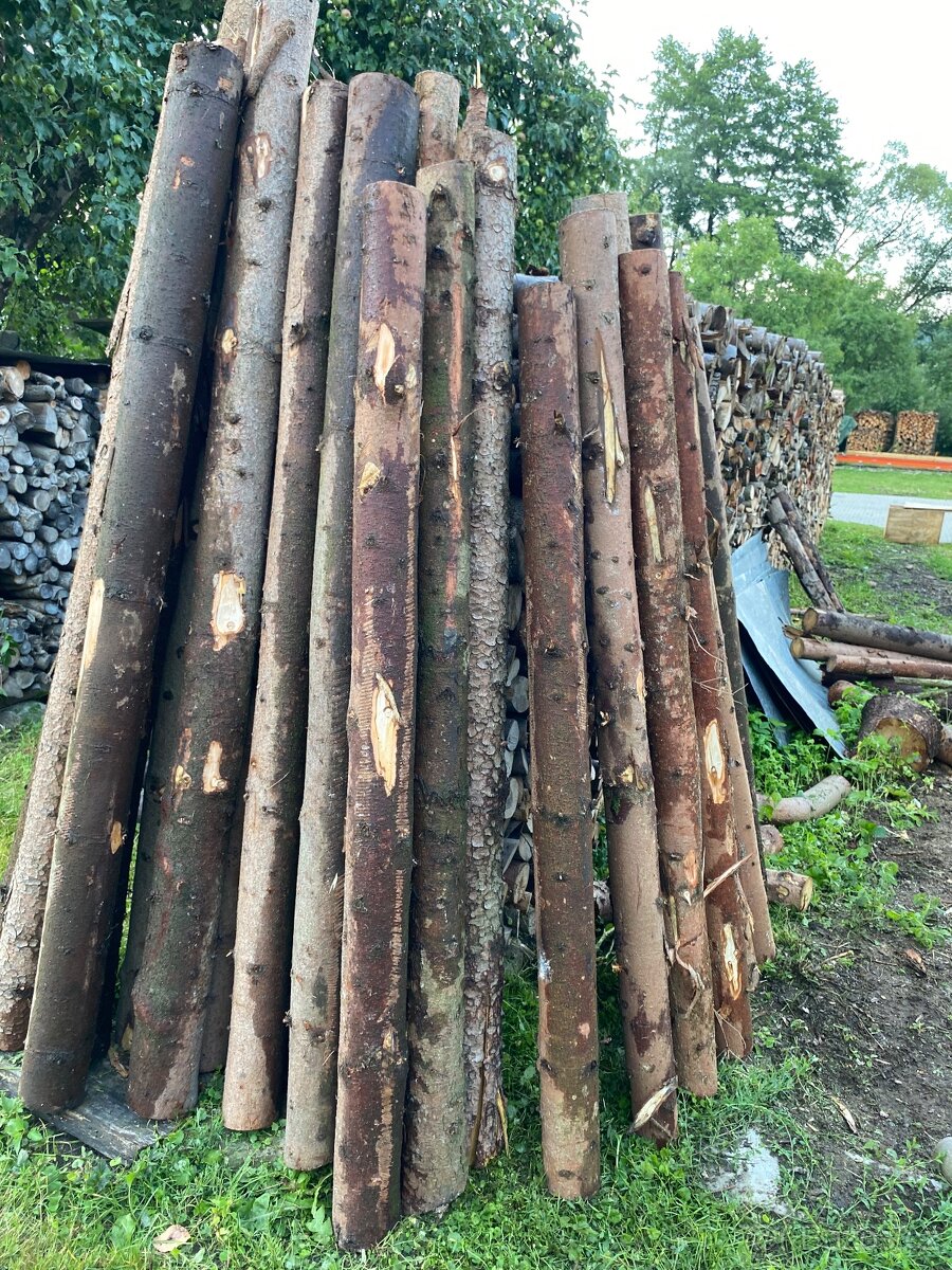 Smrkové kůly, palisády - 2