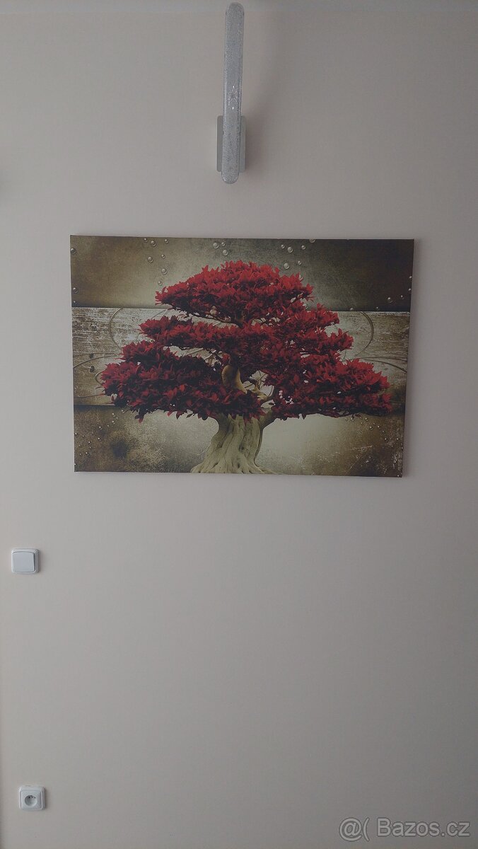 Obraz na plátně - 2