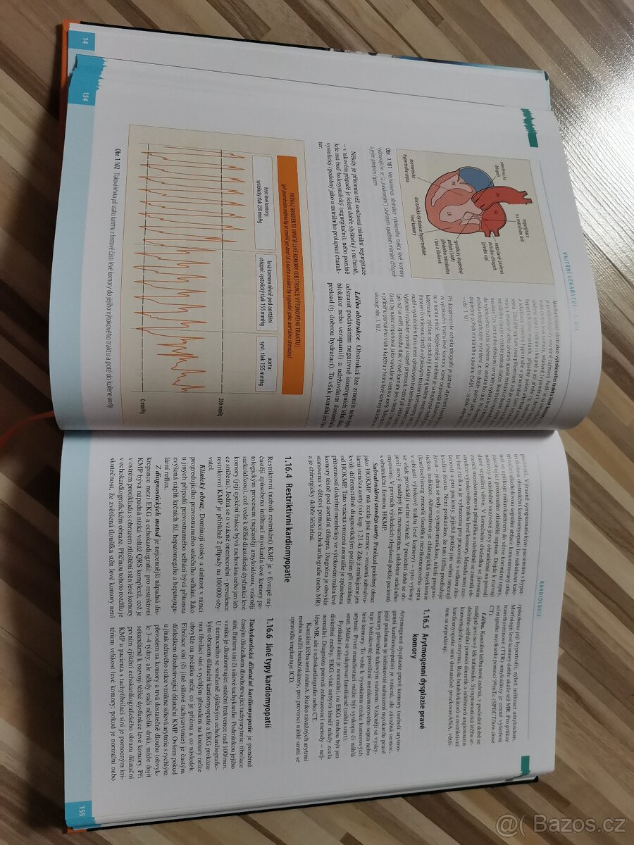 Vnitřní lékařství - 2