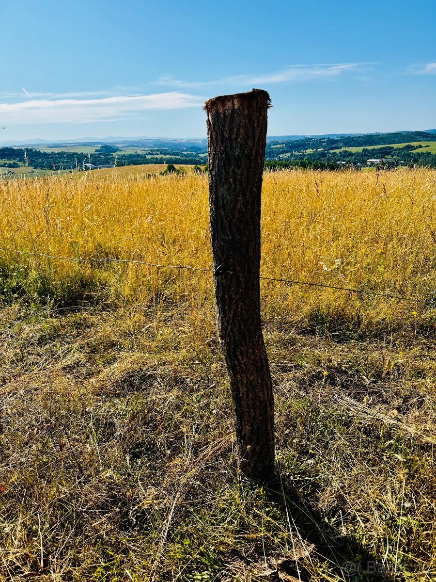 Dubové kůly - 2