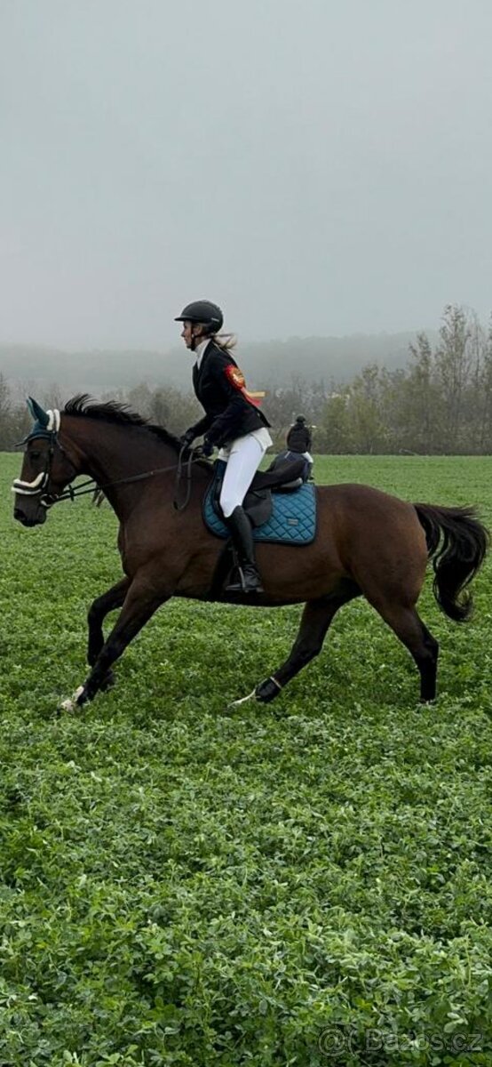 Equestrian Stockholm Sada - 2