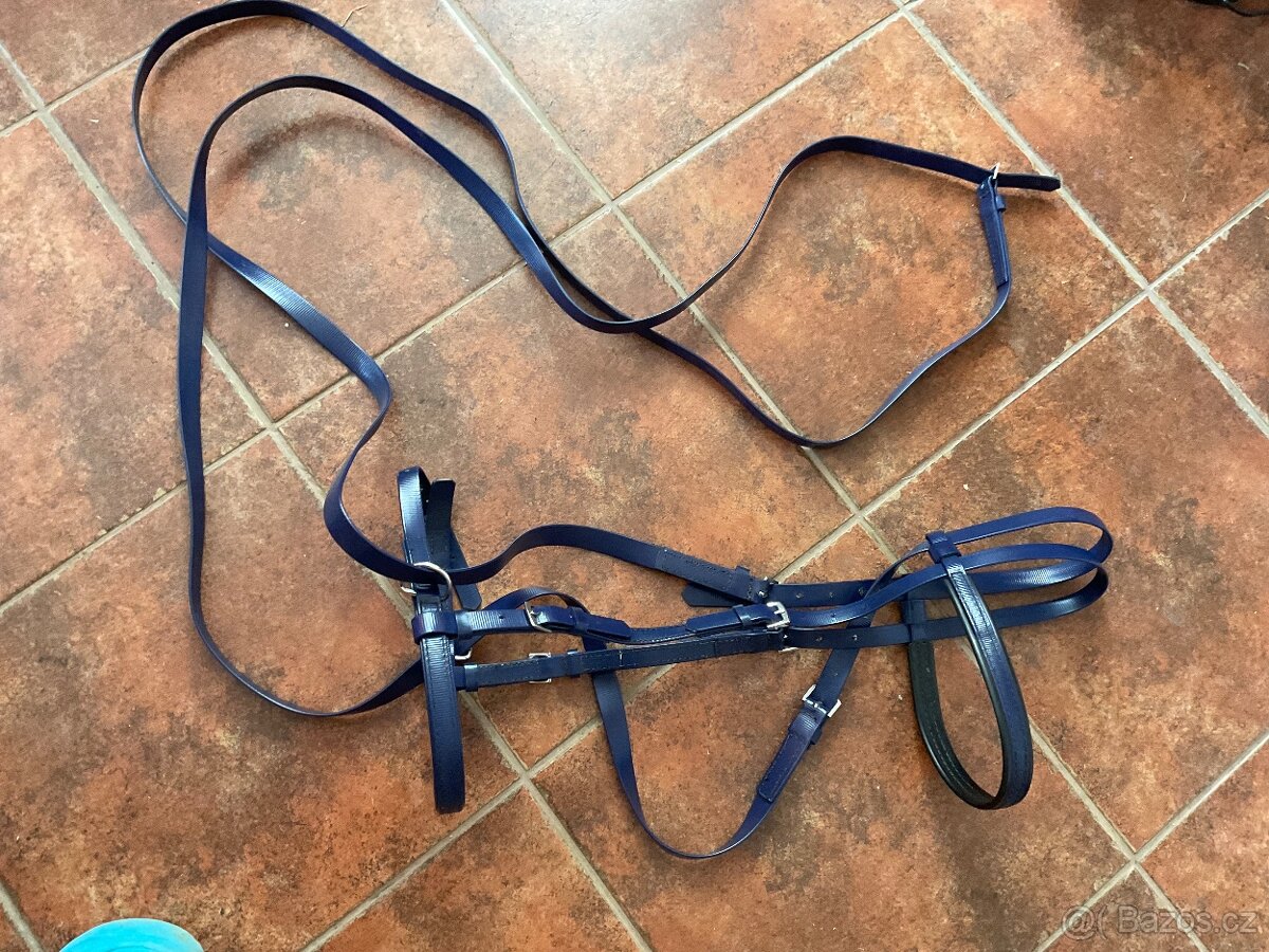 Uzdečka na jízdu bez udidla - 2