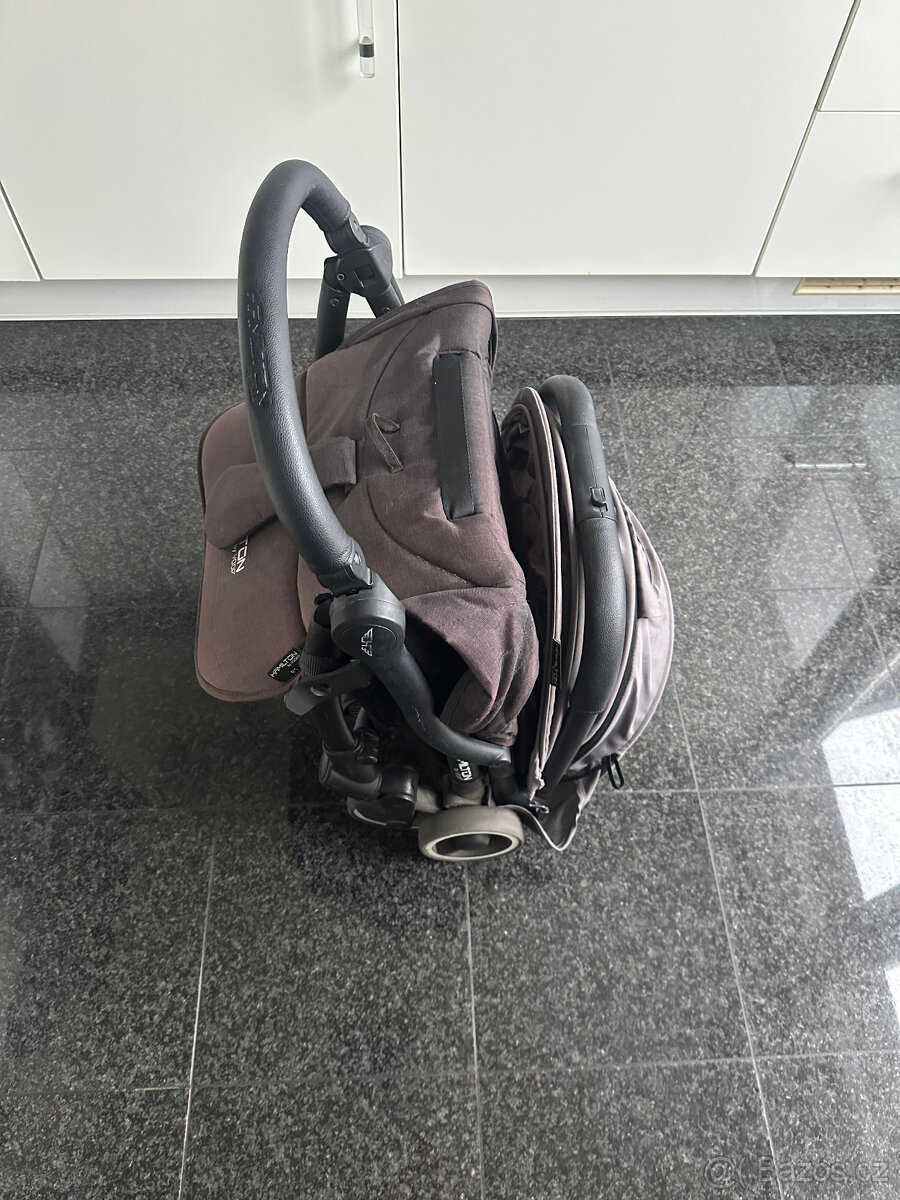 Kočátek Hamilton - 2