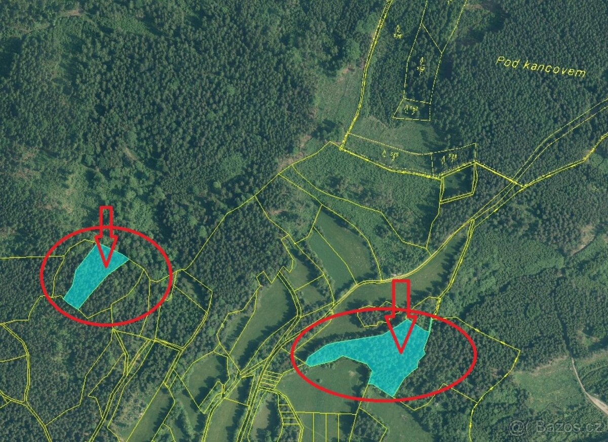 Prodej lesního pozemku v k.ú. Dolní Kožlí - 2