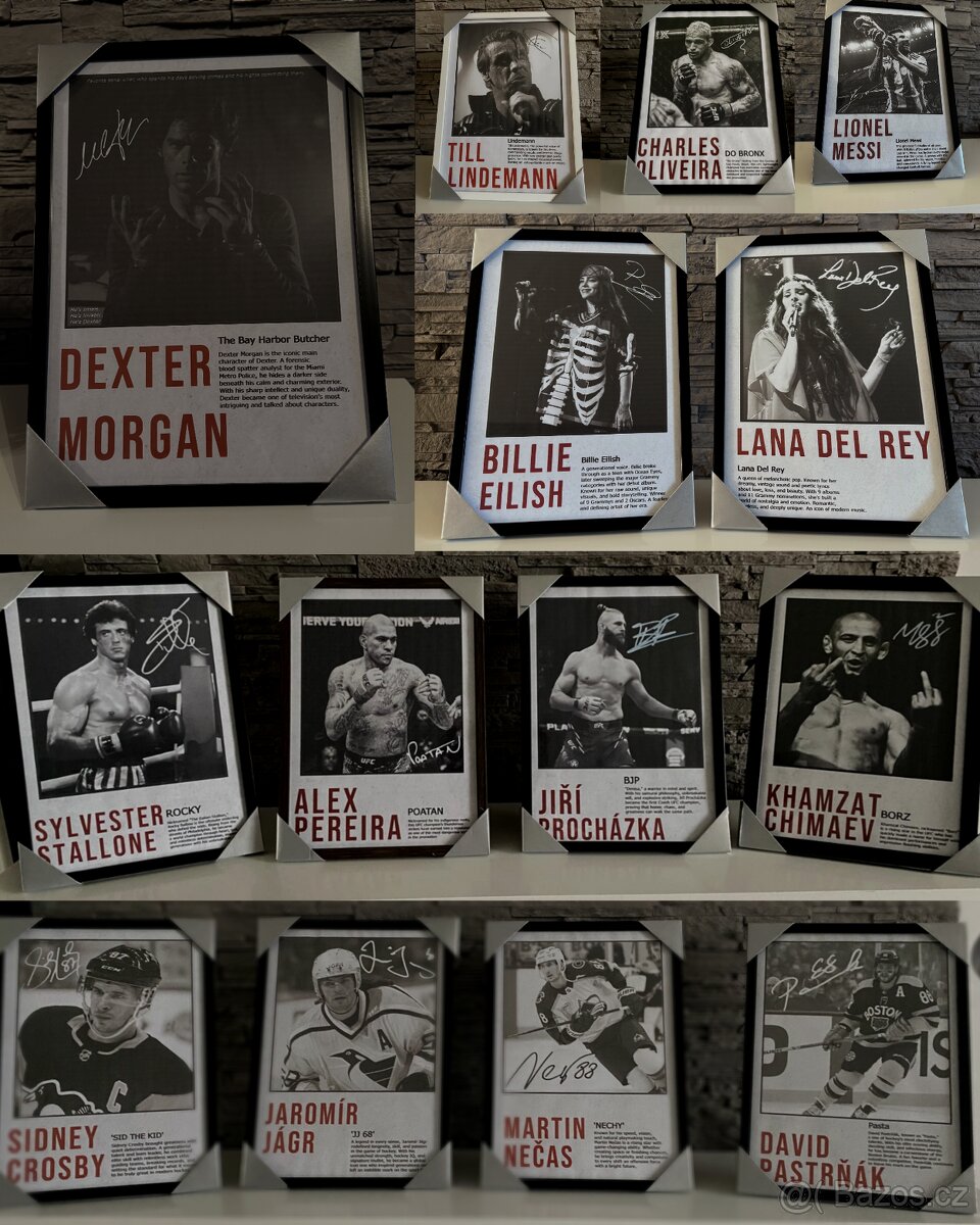 Obraz - Ginter - Vánoční AKCE🎄 - 2