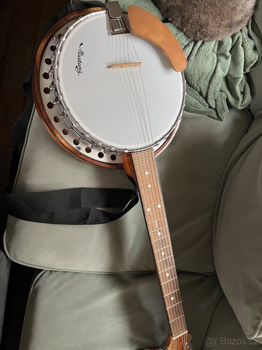 Banjo Mustang - 2