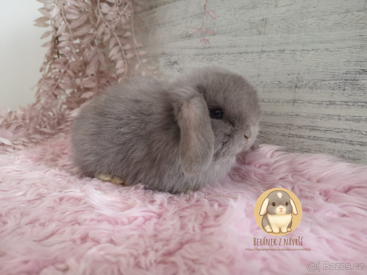 Vymazelná MINILOP miminka - 2