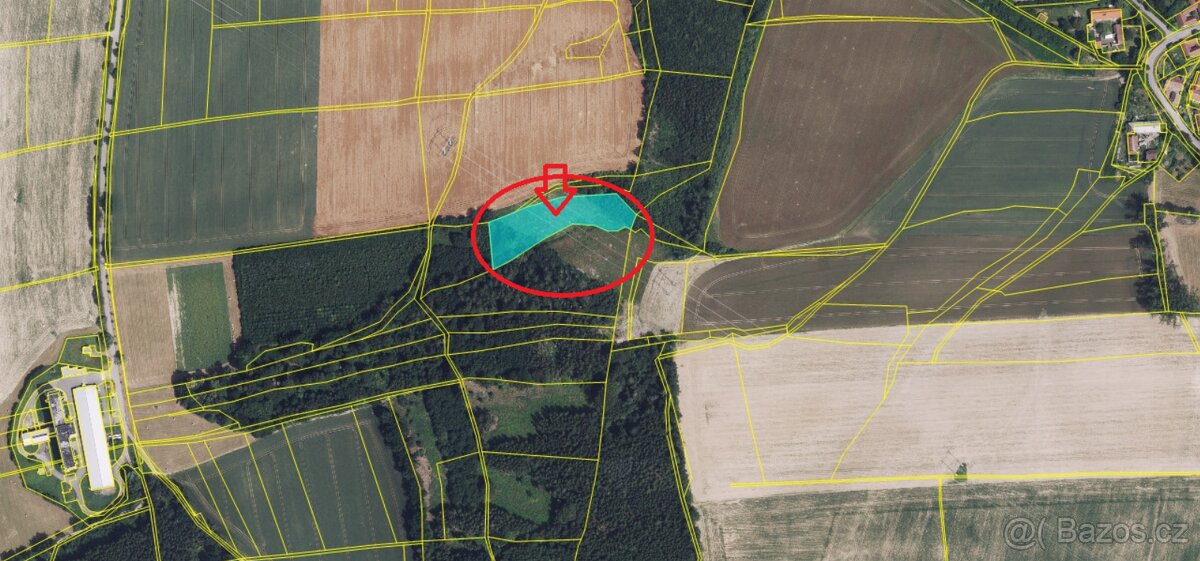 Prodej lesního pozemku k.ú. Brteč - 2