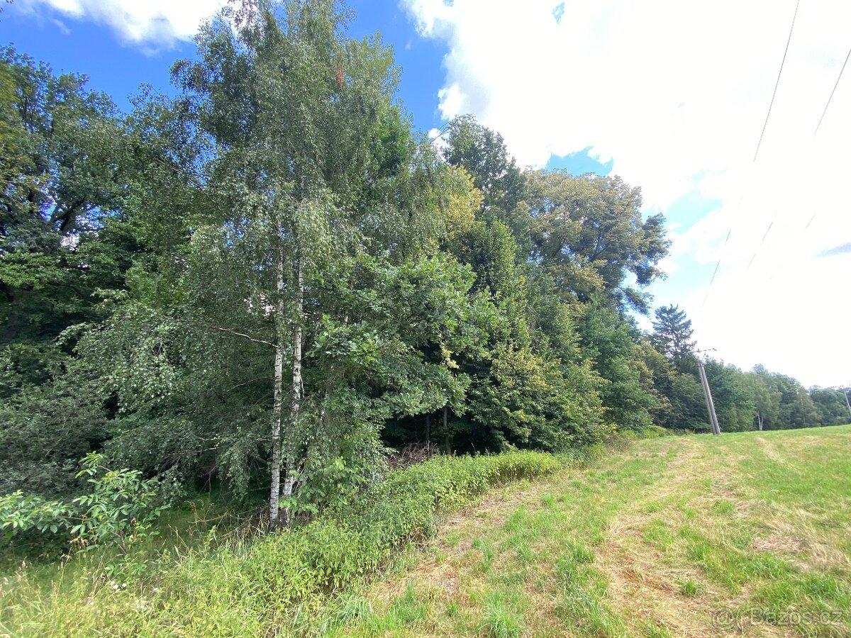 Pozemek ostatní plocha Olbramice - 2